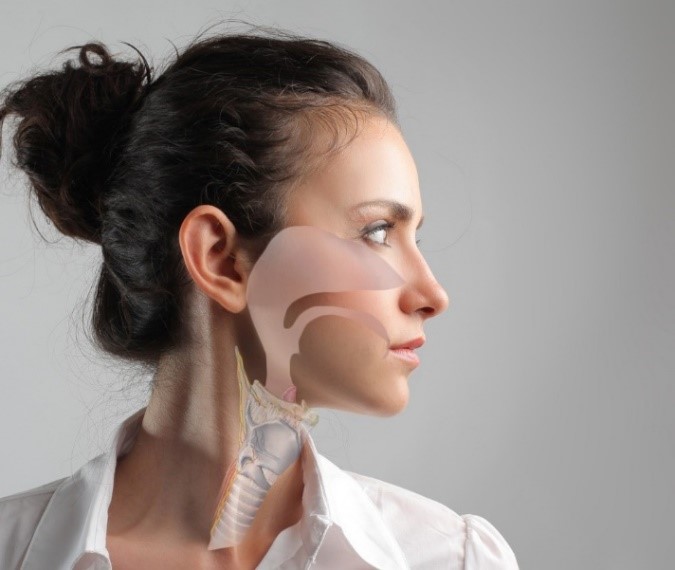 Оториноларингология