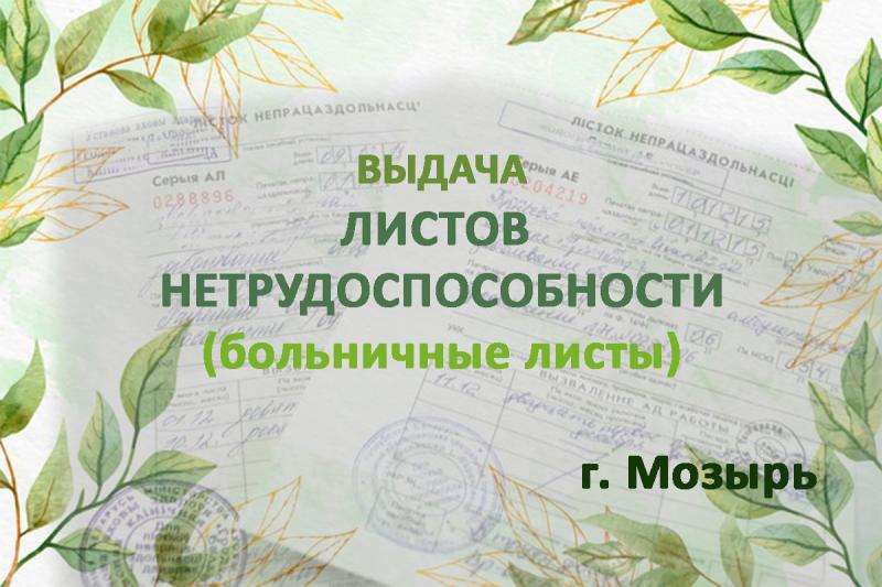 В г. Мозыре стало возможным получить больничный!